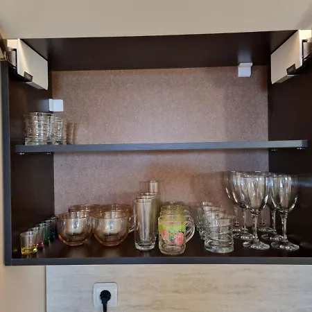 Roma 2 At Club Bor Welingrad