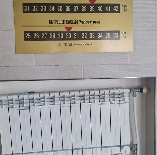 Roma 2 At Club Bor Welingrad