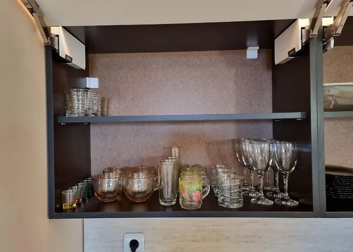 Roma 2 At Club Bor Welingrad